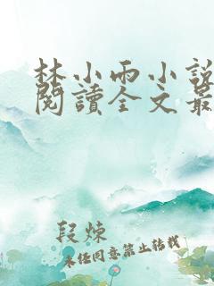 林小雨小说免费阅读全文最新章节