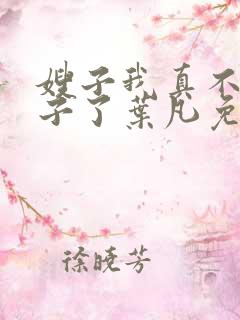 嫂子我真不是傻子了叶凡免费