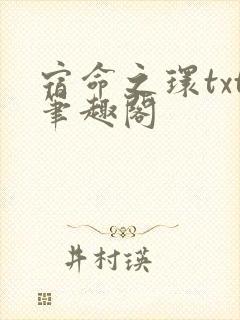 宿命之环txt笔趣阁