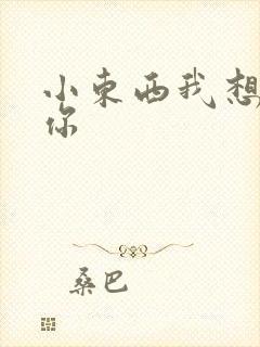 小东西我想弄坏你