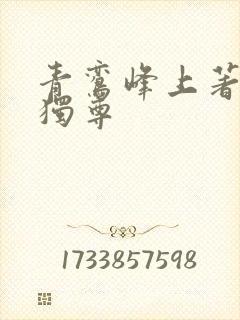 青鸾峰上著一剑独尊