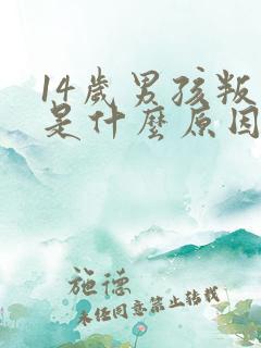 14岁男孩叛逆是什么原因