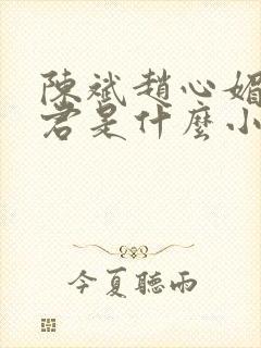 陈斌赵心媚高婉君是什么小说
