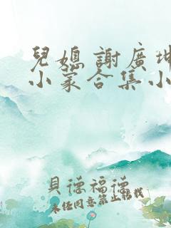 儿媳 谢广坤王小蒙合集小说