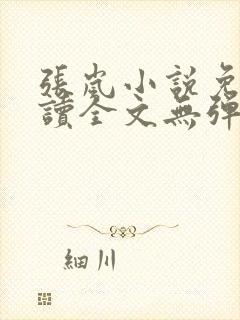张岚小说免费阅读全文无弹窗
