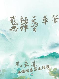 武极天尊笔趣阁无弹窗