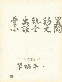 爱出轨的男朋友小说全文阅读
