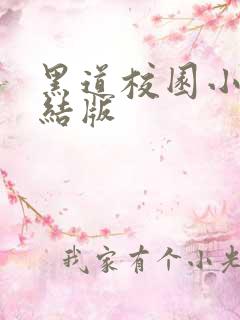 黑道校园小说完结版