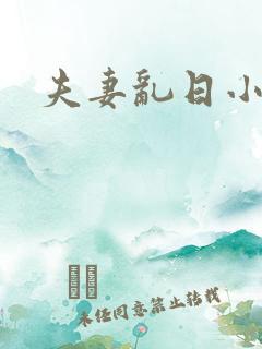 夫妻乱日小说