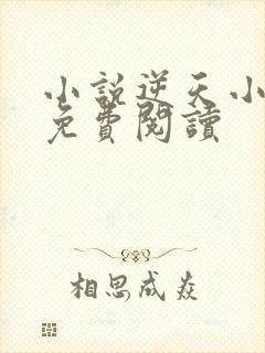 小说逆天小毒妃免费阅读