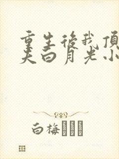 重生后我顶替前夫白月光小说裴珩