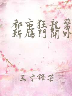 都市狂龙医仙最新雁门关外
