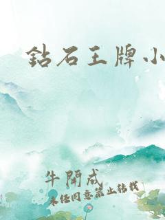钻石王牌小说