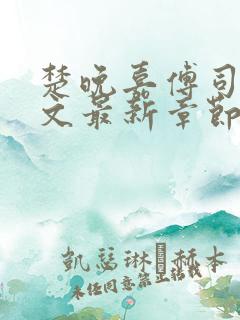 楚晚嘉傅司年全文最新章节免费阅读
