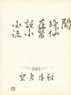 小说在线阅读风流小医仙
