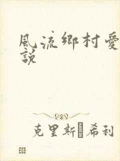 风流乡村爱情小说