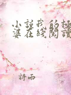 小说我的极品老婆在线阅读免费