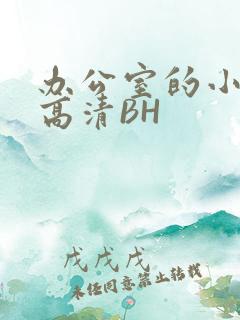 办公室的小秘书高清BH