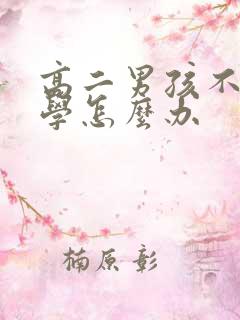 高二男孩不想上学怎么办