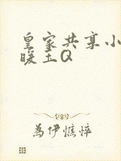 皇家共享小公主暖玉Q
