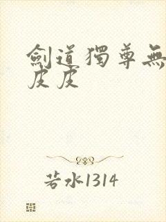 剑道独尊无弹窗皮皮