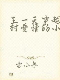 王一天穿越到乡村爱情的小说