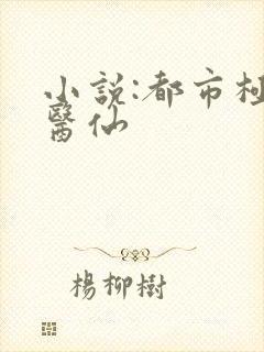 小说:都市极品医仙