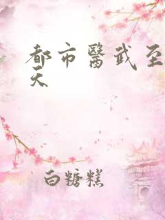 都市医武至尊林天