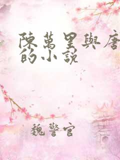 陈万里与唐嫣然的小说