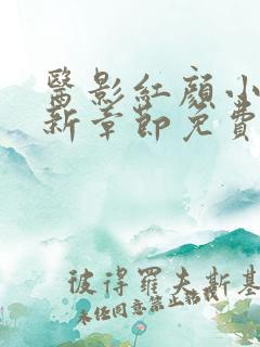 医影红颜小说最新章节免费阅读