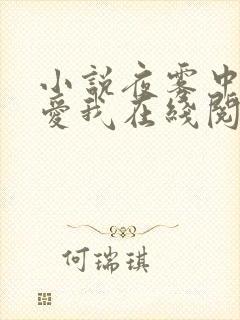 小说夜雾中无人爱我在线阅读
