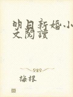 明日新婚小说全文阅读