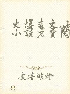 火爆爽文,山村小说免费阅读