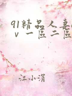 91精品人妻aⅴ一区二区