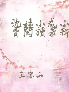 沈姨小成小说免费阅读最新章节更新
