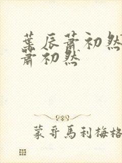 叶辰萧初然叶辰萧初然