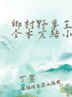 乡村野事王小二全本完结小说免费阅读