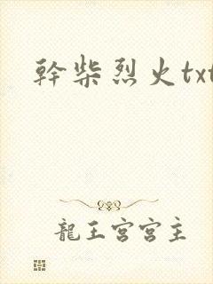 干柴烈火txt