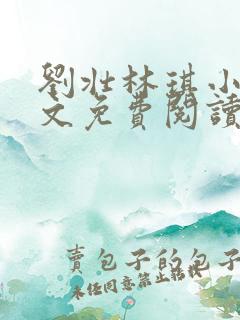 刘壮林琪小说全文免费阅读最新章节