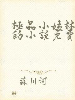 极品小姨林浩云的小说免费阅读