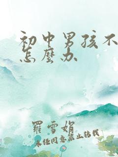 初中男孩不上学怎么办