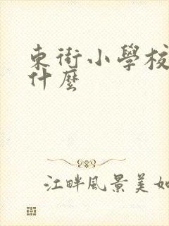 东街小学校长叫什么