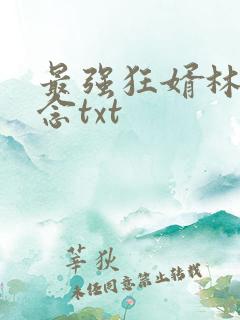 最强狂婿林伟刘念txt