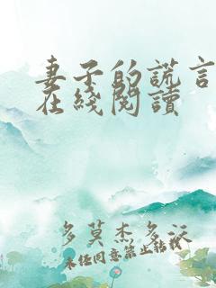 妻子的谎言小说在线阅读