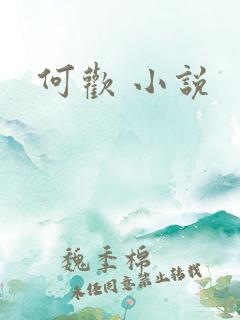 何欢 小说
