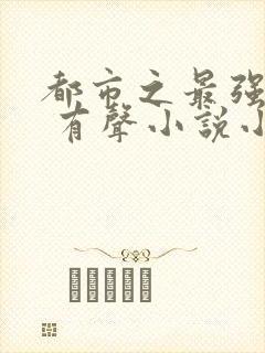 都市之最强仙医 有声小说小说