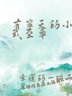 有宁天的小说医武至尊
