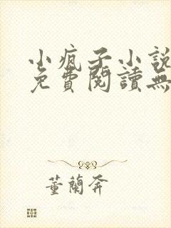 小疯子小说全文免费阅读无弹窗