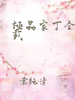 极品家丁全集下载