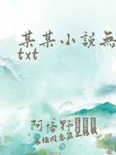 某某小说无删减txt